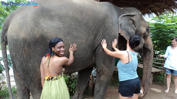 elephant-nature-park-thailand