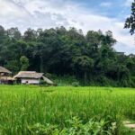 rice-field-thailand-As a foreigner, whenever you talk about buying land in Thailand, some smart Alec pops up and says, “You can’t own land in Thailand, so ner”! While this is sort of true, the law doesn’t restrict foreigners from owning land in all instances, which we’ll discuss in a moment.