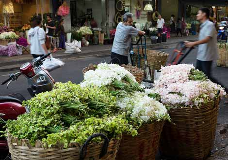 pak-klong-talad