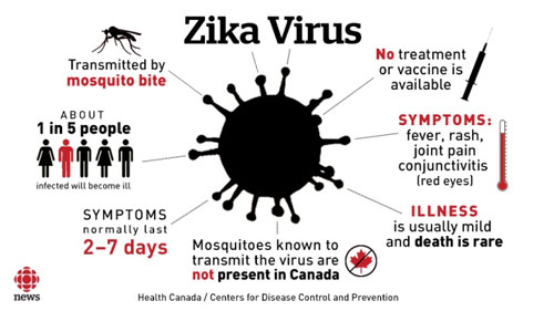 zika virus thailand