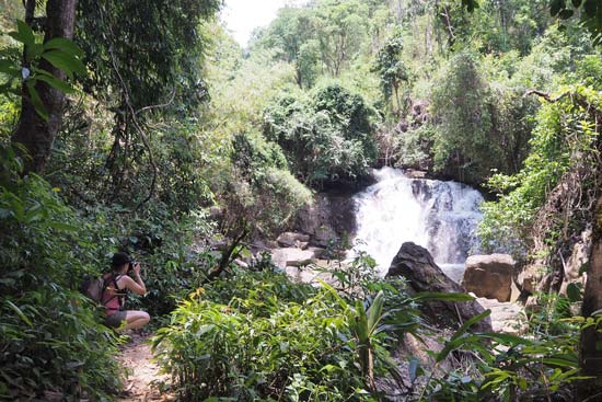 trek through the jungle meaning