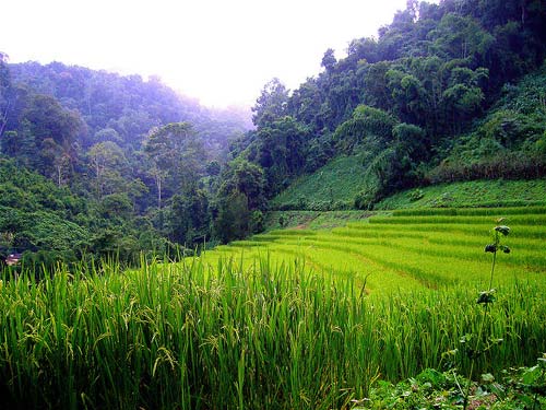 trekking-chiang-mai