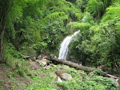 trekking-in-chiang-mai-jungle