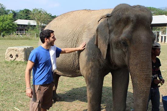 ethical elephant sanctuary thailand