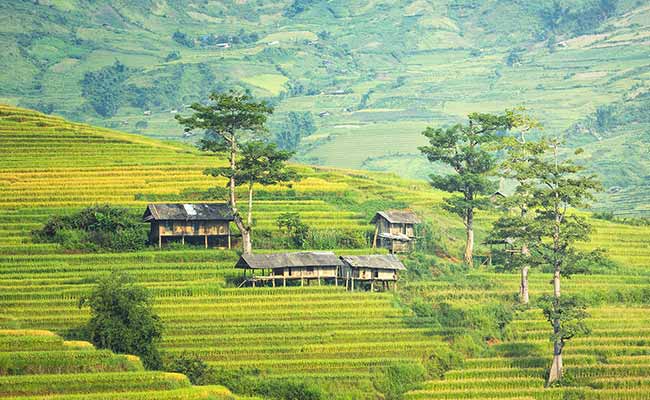How to Lease Land in Thailand: A Foreigner's Guide to the Law